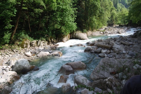 The river Beas flows through the Great Himalayan National Park